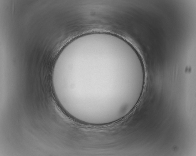 X0000112970009200908270954