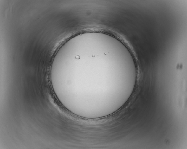 X0000112970010200908270954