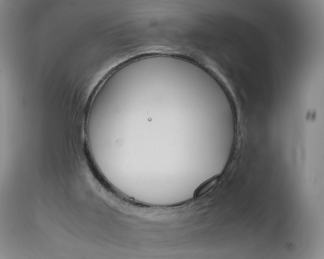 X0000112970011200908270954