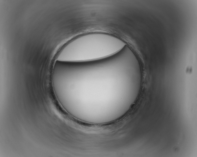 X0000112970012200908270954