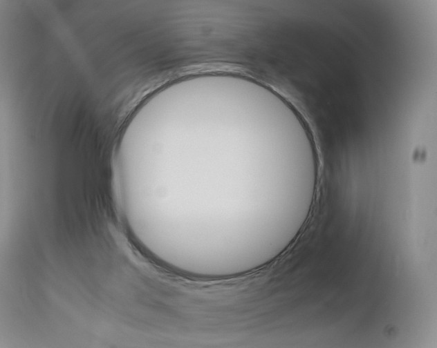 X0000112970013200908270954