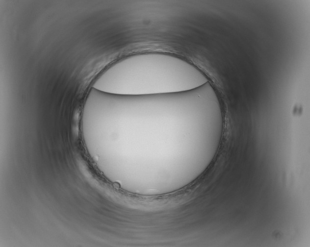 X0000112970014200908270954