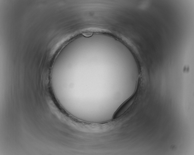X0000112970015200908270954