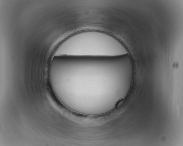 X0000112970016200908270954