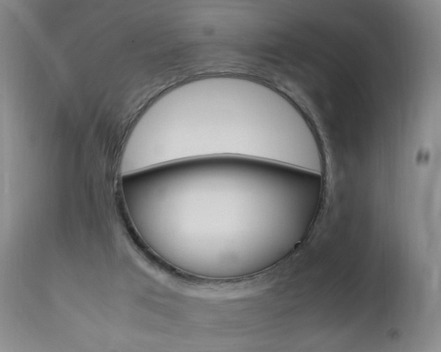X0000112970017200908270954