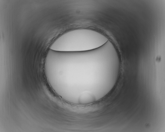 X0000112970018200908270954