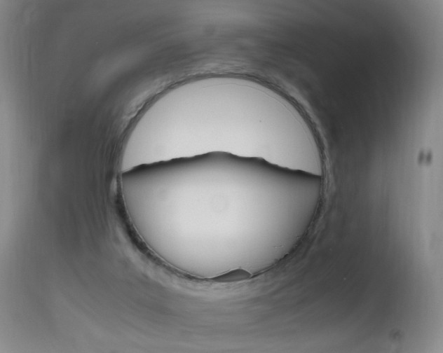 X0000112970019200908270954