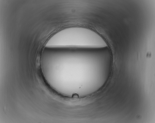 X0000112970021200908270954