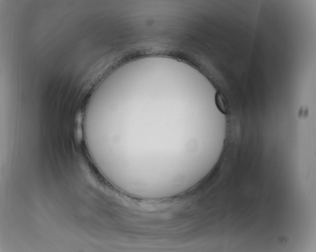 X0000112970022200908270954