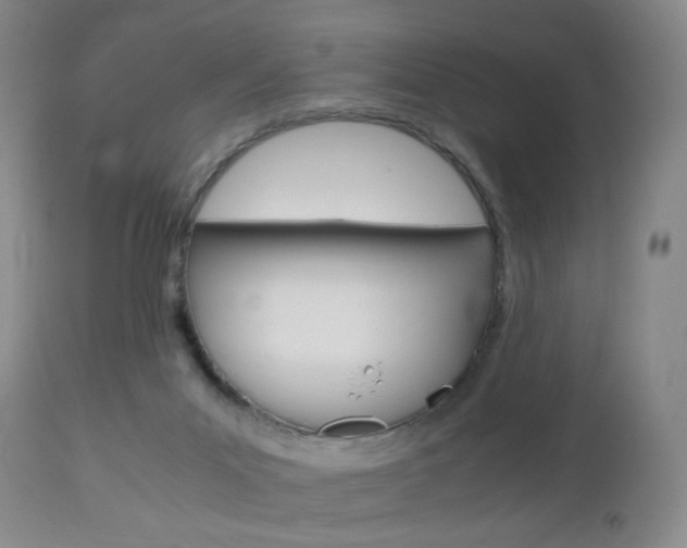 X0000112970023200908270954