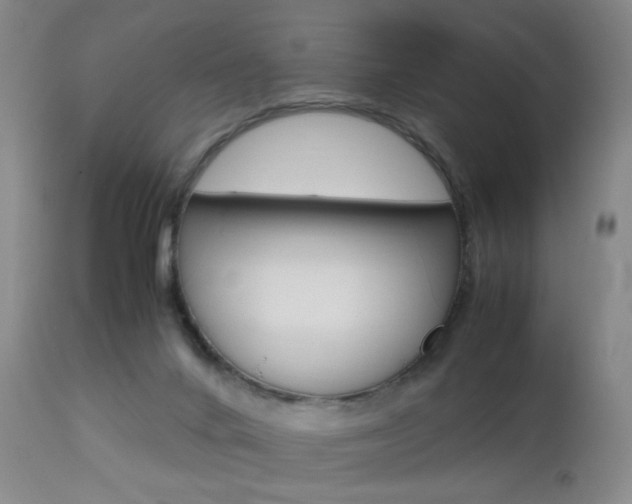X0000112970024200908270954