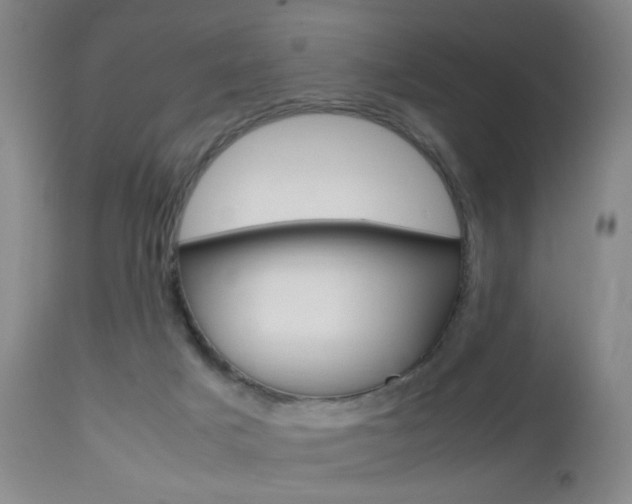 X0000112970025200908270954