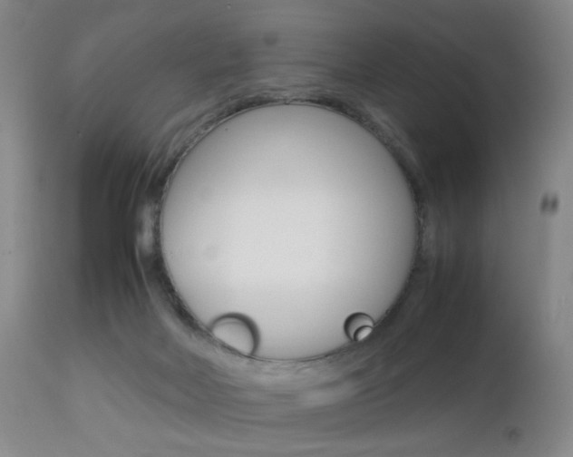 X0000112970026200908270954