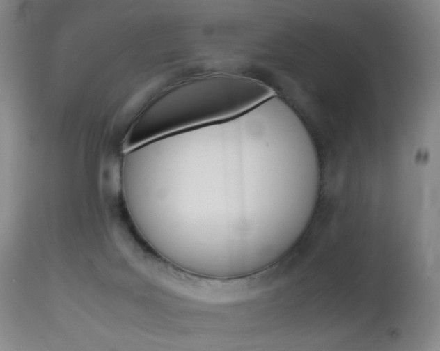 X0000112970027200908270954
