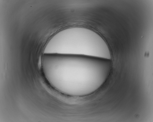X0000112970028200908270954