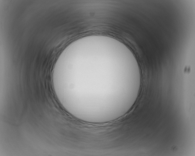 X0000112970029200908270954
