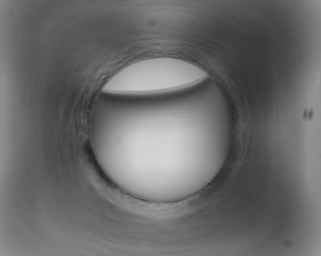 X0000112970031200908270954