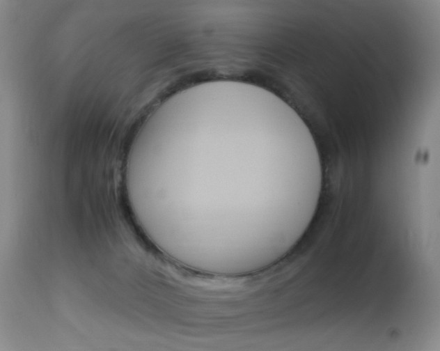 X0000112970032200908270954