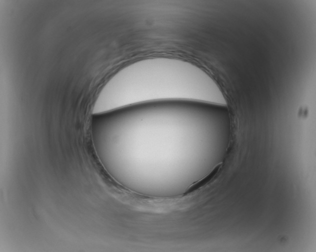X0000112970033200908270954