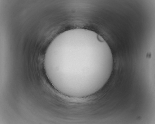 X0000112970034200908270954