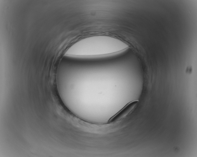X0000112970035200908270954