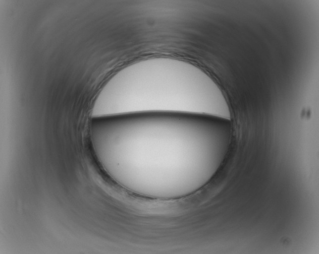 X0000112970036200908270954