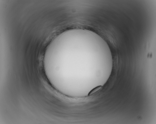 X0000112970038200908270954