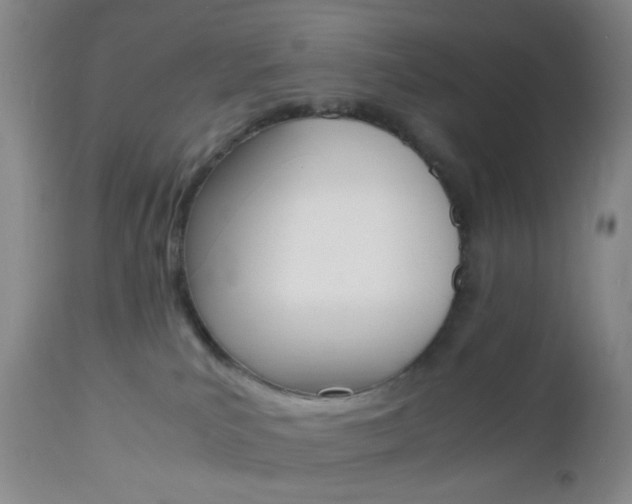 X0000112970039200908270954
