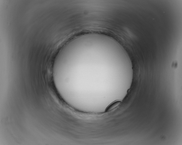 X0000112970040200908270954