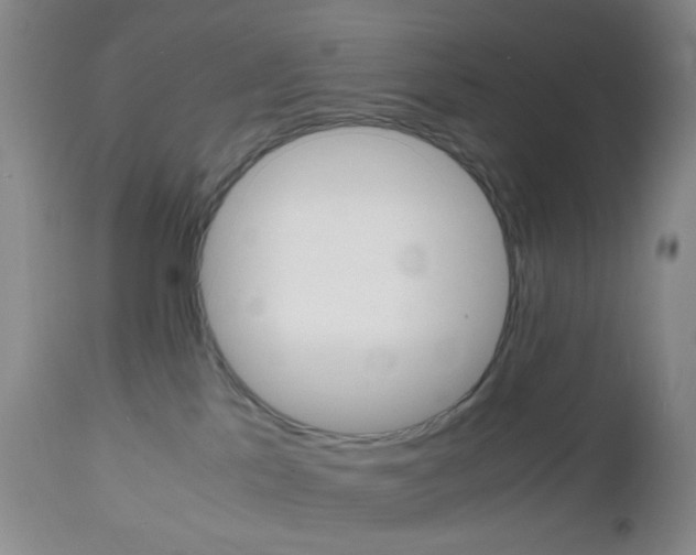 X0000112970041200908270954