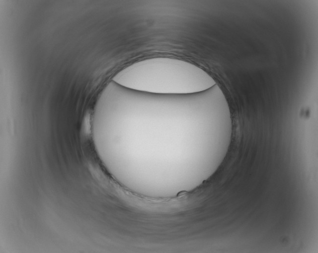 X0000112970042200908270954