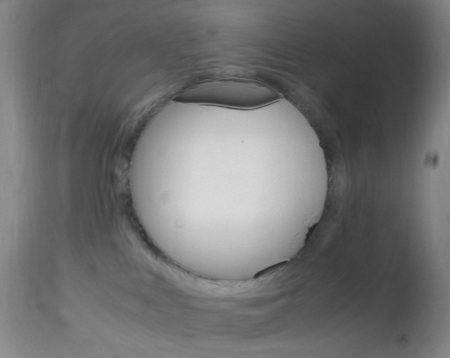 X0000112970043200908270954