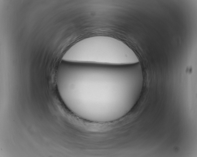 X0000112970044200908270954