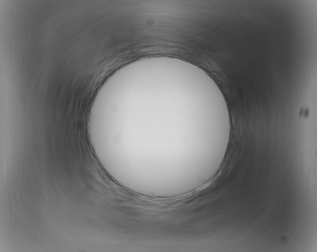 X0000112970045200908270954