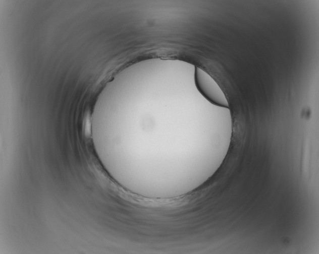X0000112970046200908270954