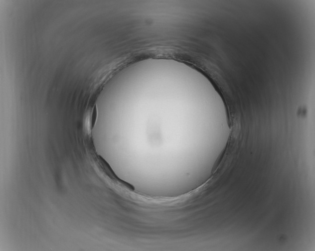 X0000112970047200908270954