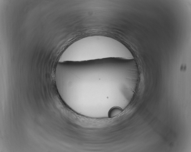 X0000112970048200908270954