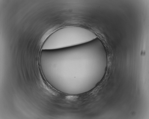 X0000112970051200908270953