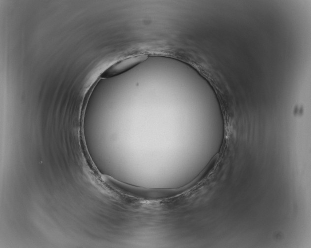 X0000112970052200908270953