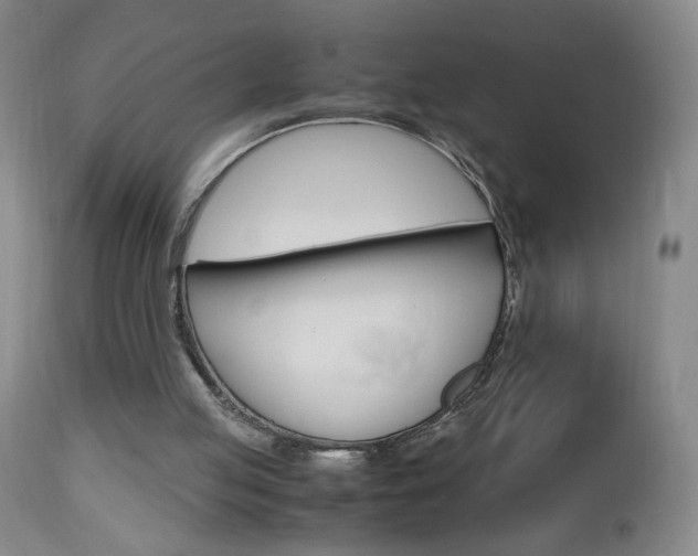 X0000112970053200908270953