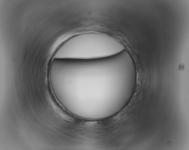 X0000112970054200908270953