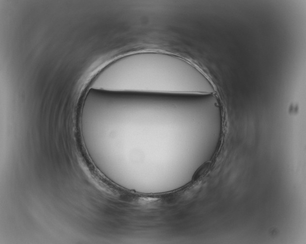 X0000112970055200908270953