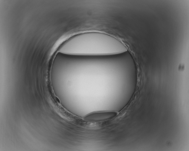 X0000112970056200908270953