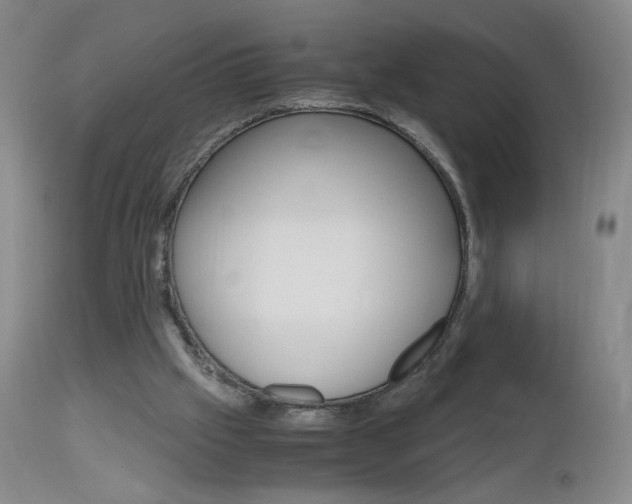 X0000112970057200908270953