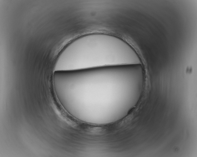 X0000112970058200908270953
