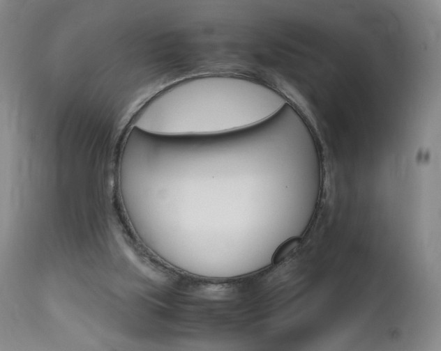 X0000112970059200908270953