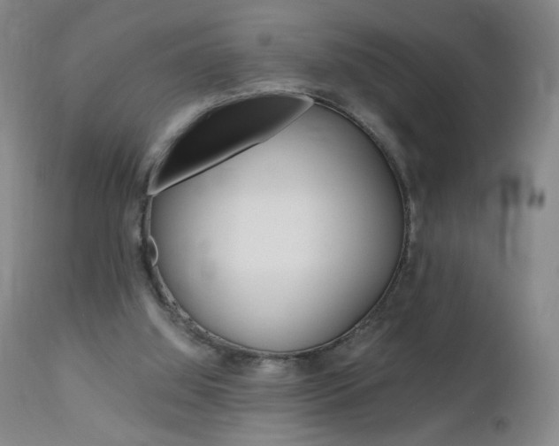 X0000112970060200908270953
