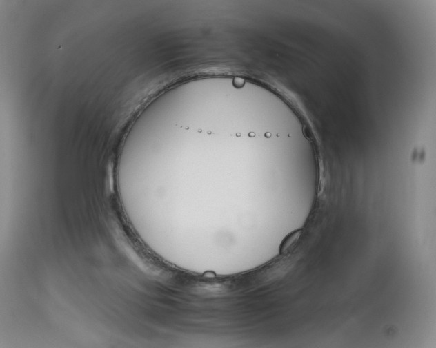 X0000112970061200908270953