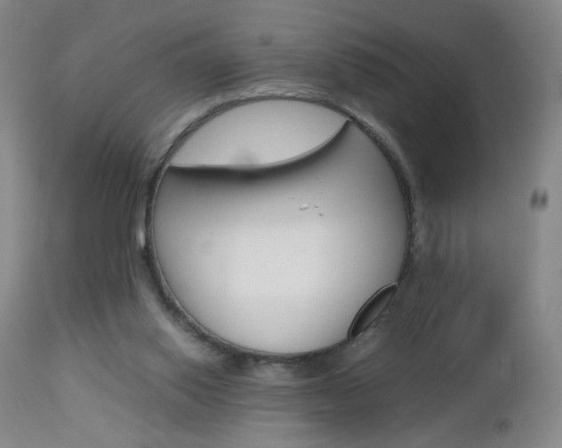 X0000112970062200908270953