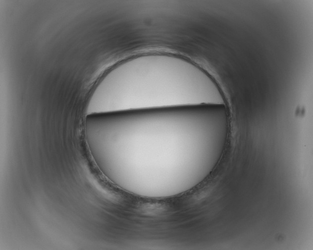 X0000112970063200908270953